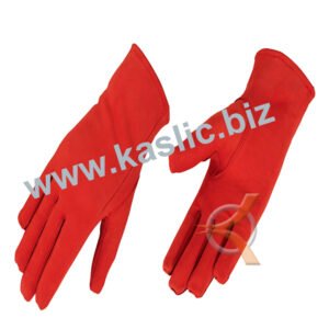 Dressing Gloves